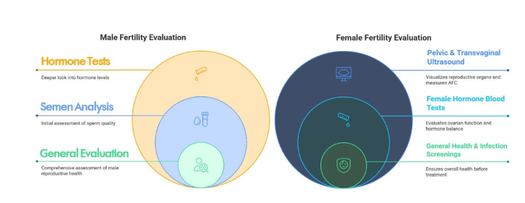 Male and Female Fertility Evaluation