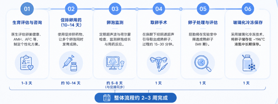 马来西亚冻卵疗程标准流程与时间规划示意图