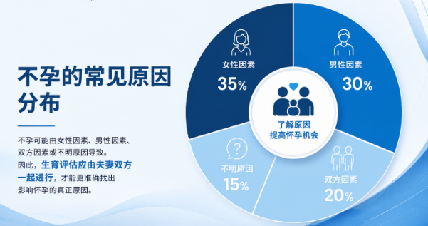 生育评估（Fertility Assessment）完整指南 - Metro IVF