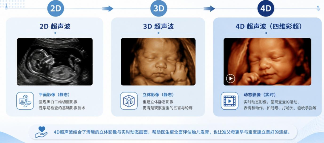 4D超声波扫描（四维彩超）完整指南 - Metro IVF