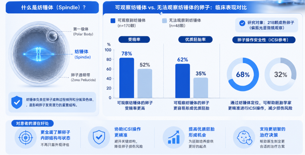 纺锤体结构与临床表现对比 - Metro IVF