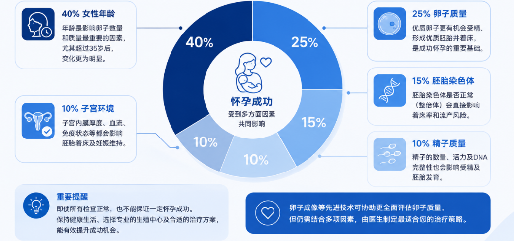 影响试管婴儿妊娠成功的多元核心要素构成 - Metro IVF